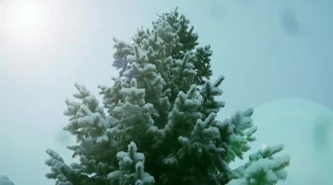 Snowflakes Stock Footage 10632739