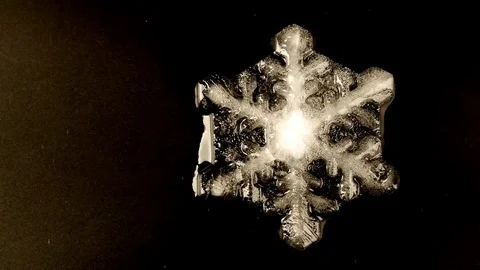 Snowflakes 스톡 동영상 117337424