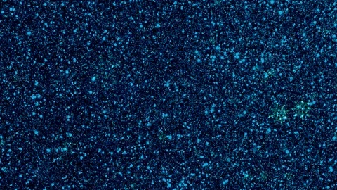 Snowflakes Stock Footage 119682773