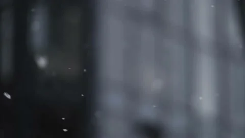 Snowflakes Video stock 146002667