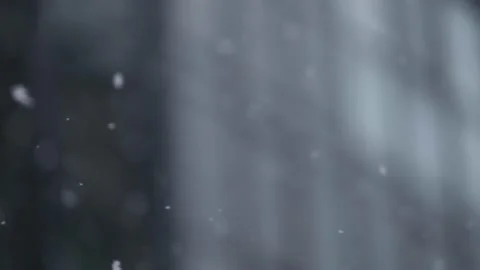 Snowflakes Stock Footage 146002854