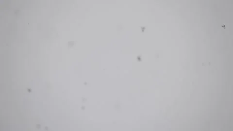 Snowflakes Video stock 146002890