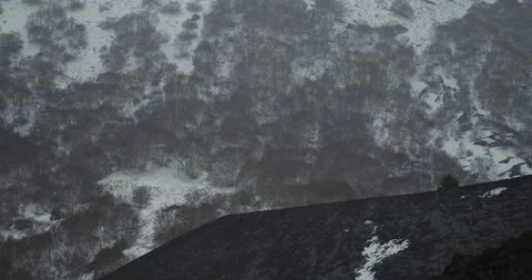 Snowflakes Stock Footage 150321727