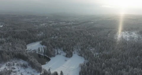 Snowflakes glistening in the rays of the setting sun in a snowstorm Stock Footage 230257132