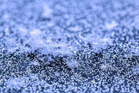 Snowflakes on glitter surface macro background with selective focus Фото