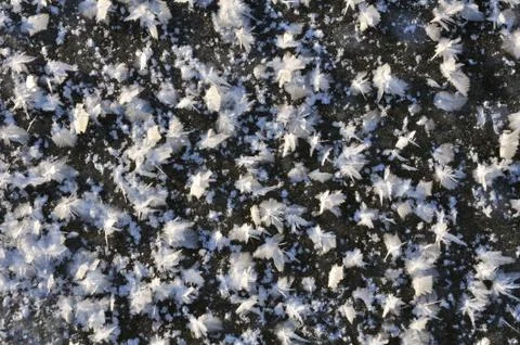 Snowflakes on the ice Stock Photos