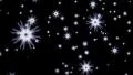 Snowflakes LM05 Loop Falling Snow Animation HD Footage