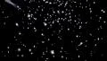 Snowflakes LM09 Loop Falling Snow Animation HD Footage