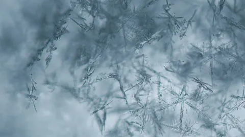 Snowflakes melt and appear Stock Footage 59748200