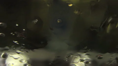 Snowflakes melt on windshield Stock Footage 1038495