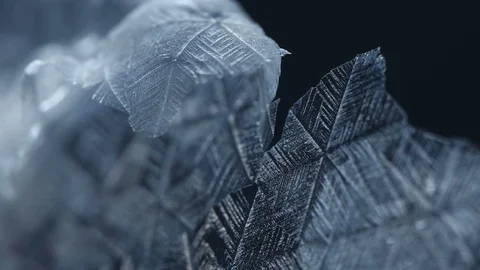 Snowflakes melting Stock Footage 100534225