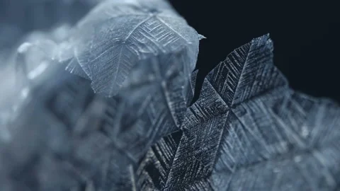Snowflakes melting Stock Footage 100544708