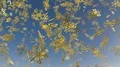 Snowflakes metal shiny snow flake falling xmas christmas decoration holiday 4k 4k or 4k+ Resolution