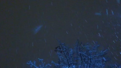 Snowflakes In The Night Stock-Footage 87811130