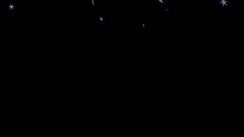 Snowflakes in-out Stock Footage 100647239