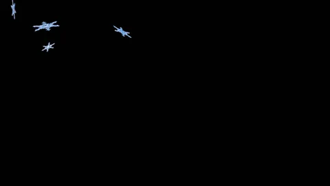 Snowflakes in-out Stock Footage 100647242