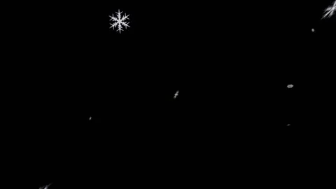 Snowflakes particle spread from middle to front view effect Stock Footage 324600759