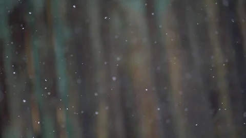 Snowflakes particles is slowly falling on blurred at background Stock Footage 100183974