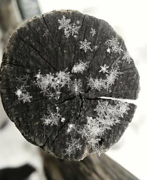 Snowflakes Stock Photos