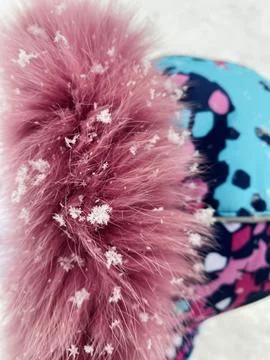 Snowflakes Stock Photos