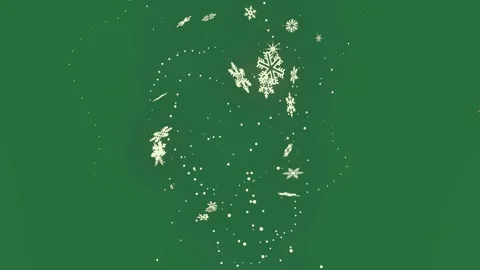 Snowflakes Professional On Chroma Key For Compositing Stock Footage 338017190