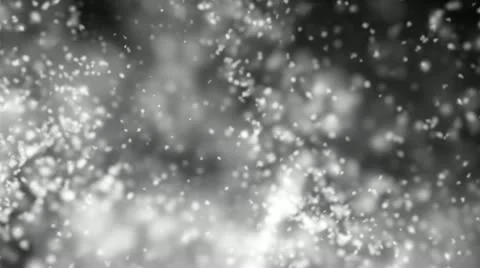 Snowflakes, Shallow Depth Of Field - Intense Snow Video Background Loop 스톡 동영상 15380119