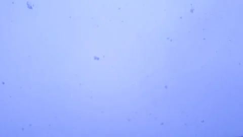 Snowflakes in the sky. Winter sky, falling snow. Stock Footage 306659227