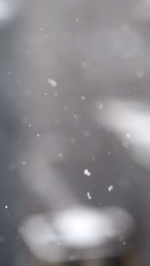 Snowflakes Skyline Stock Footage 148053364