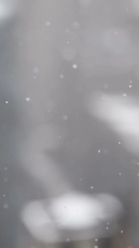 Snowflakes Slow Motion Stock Footage 151370141