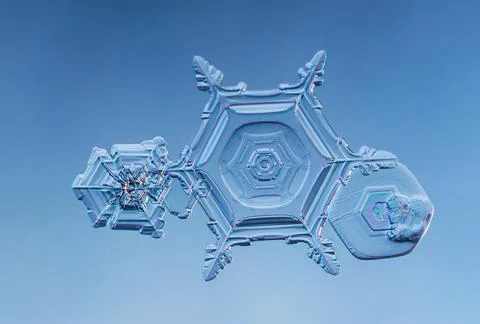 Snowflakes on smooth gradient background. Macro photo of real snow crystal on 스톡 사진