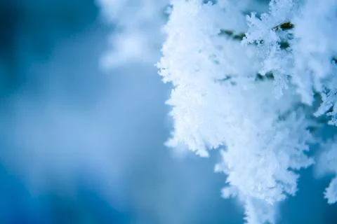Snowflakes, snow blue background for your inscription. Stock Photos
