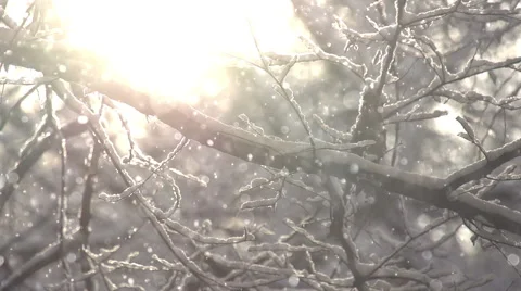 Snowflakes in the Sunlight Stock Footage 45606141