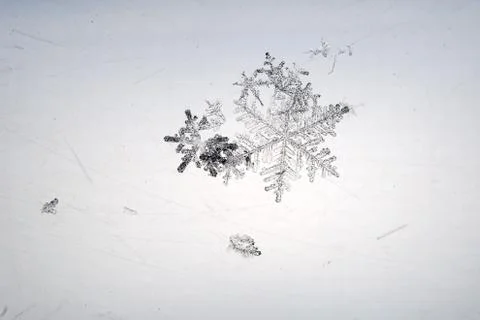 Snowflakes on transparent background with backlight Stock Photos