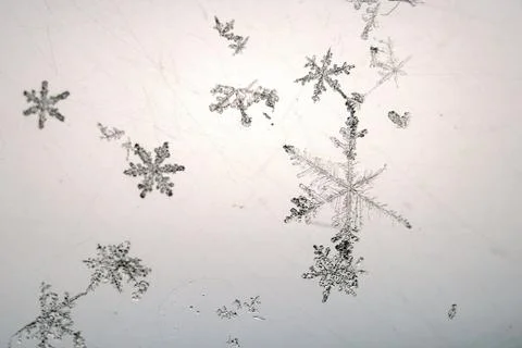 Snowflakes on transparent background with backlight Stock Photos