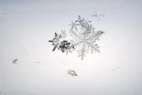 Snowflakes on transparent background with backlight Stock Photos