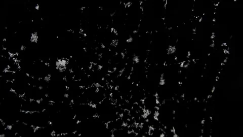 Snowflakes trapped in a cobweb on black background Stock Footage 71266638