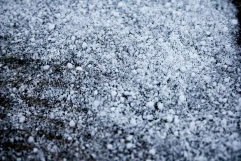 Snowflakes on tree trunk Foto stock