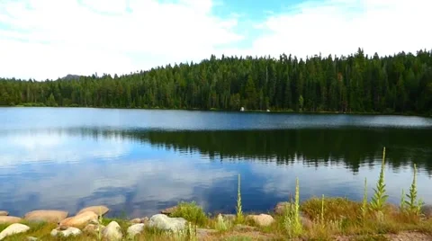 Snowflower Alpine Lake Video stock 40245510