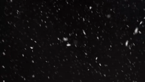 SnowFlurries-blackbackdrop-02-4k Stock Footage 244799434