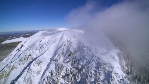 Snowforest4 Stockbeeldmateriaal 252030061