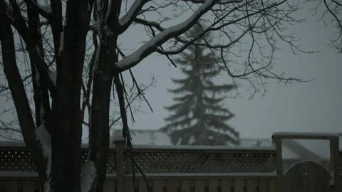 Snowing 01 Stock Footage 168822623