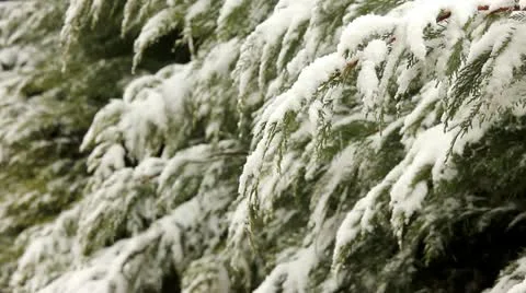 Snowing 1 Stock Footage 21437477