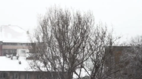 Snowing 2 Video stock 34507034