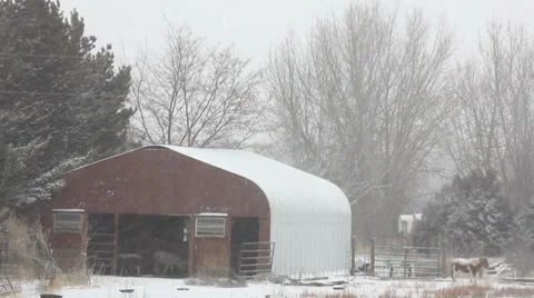 Snowing 3 1 Stock Footage 7756147