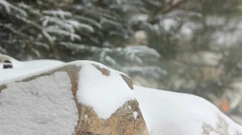 Snowing 4 1 Video stock 7756163