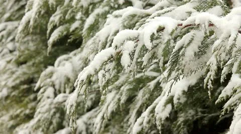 Snowing 4 Stock Footage 21435360