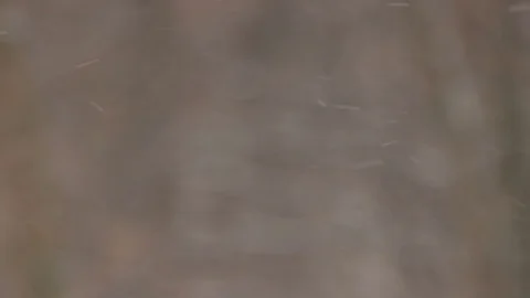 Snowing 60sec 스톡 동영상 75751713
