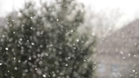 Snowing abstract. Defocused bokeh with tree background. Snow falling Stock Footage 70330915