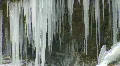 snowing and huge icicles Vídeos en HD