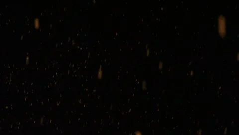 Snowing background 3316 Stock Footage 1061010